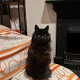 Photo of Sophie
