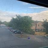 Photo of Mina