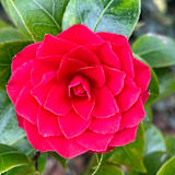 Photo of Esther