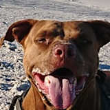 Photo of Sammy