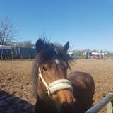 Photo of Anne