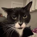 Photo of El