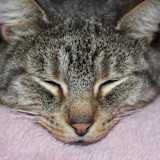 Photo of Zara