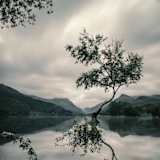 Photo of Lovepreet Kaur