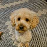 Photo of Marie Scott