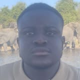 Photo of Treasure Midzi