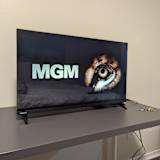 Aditya Vikram Singh Jamwal