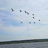 Photo of Ladj