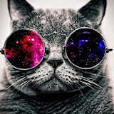 Nick, Master Bedroom, Downtown, Fashion District, Bathurst/King