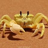 looking for my friend