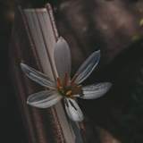 Photo of sukhmandeep kaur