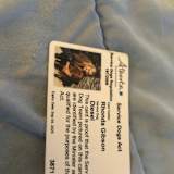 Photo of Rhonda Gibson