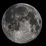 Photo of Praveen