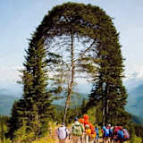 Oluseyi Dominic Akomolafe