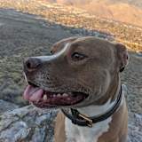 Photo of Gary