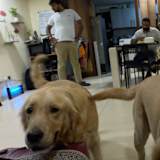 Photo of Aaditya dube