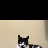 ABINAYA SENTHILKUMAR