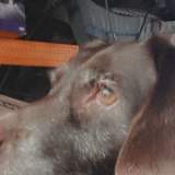 Photo of Michael