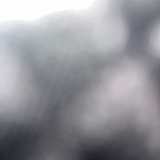 Photo of hazim