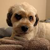 Photo of Eleri Glass