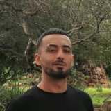 Photo of Enzo