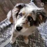 Melissa Jose ottaplackal