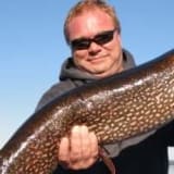 Photo of Brian Clarke