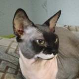 Photo of Sam