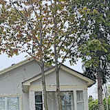 Photo of Dean