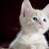 Photo of salma