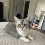 Photo of Becky
