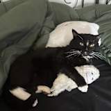 Photo of Abigail