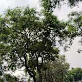 Photo of Nobuhle