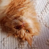 Photo of Mimi
