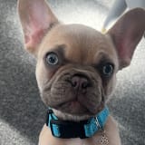 Photo of Emma