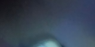 Photo of Bo