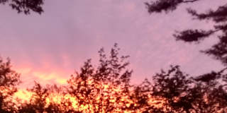 Photo of Tanya Chaisson