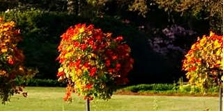 Photo of Susana Chirinos