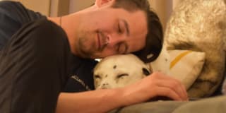 Photo of Elliot