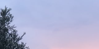 Photo of QY