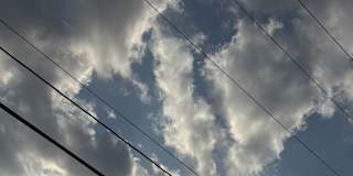 Photo of Swarali Bhide