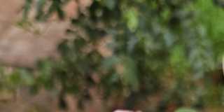 Photo of Haripriya