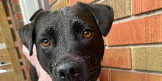 Photo of Rachel Bercowski