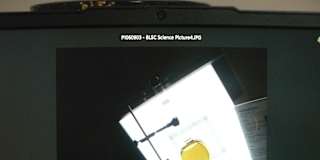 Photo of Miss Renee K. Taylor-BA-French