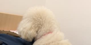 Photo of Christy
