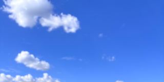 Photo of Palak Jandu