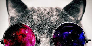 Bathurst-King Wellinton Place West Queen West Fort York Liberty Village