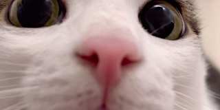 Photo of Dirk John Hart M.