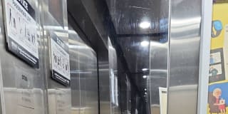 Photo of Are Mann