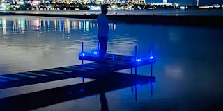 Photo of Zubair Ahmad